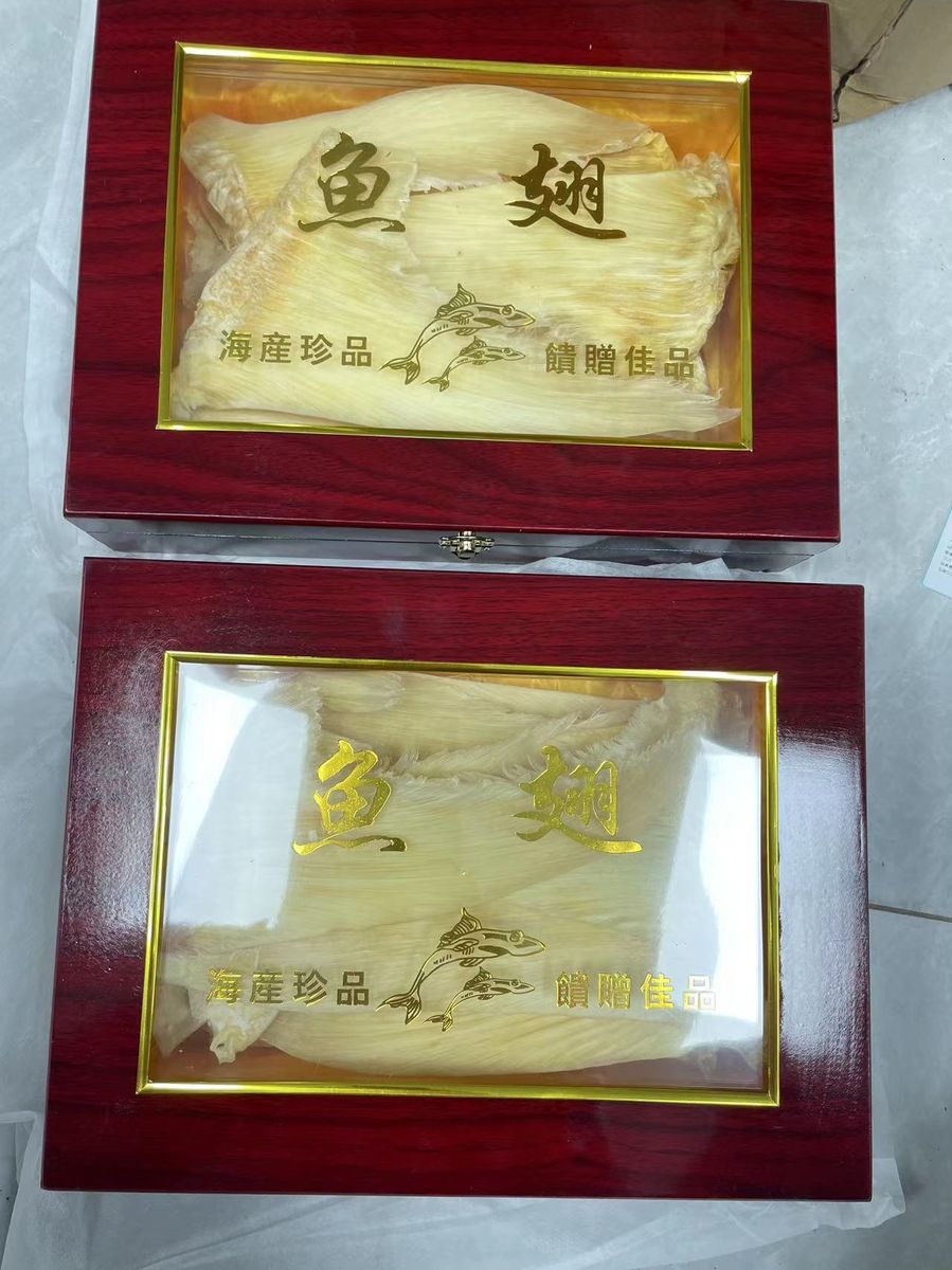 干货整鳍鱼翅实拍，翅针粗壮